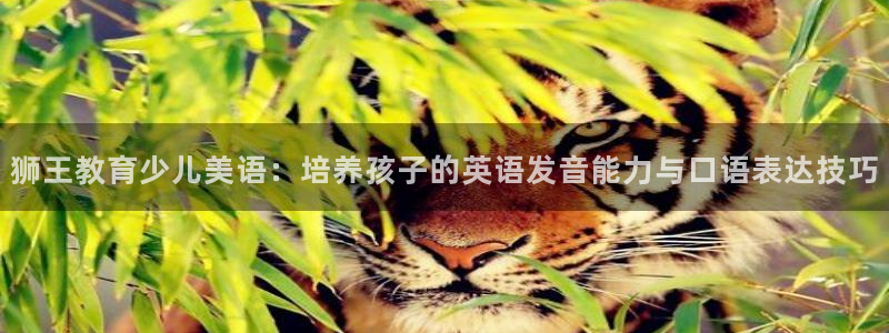 必一体育在线入口