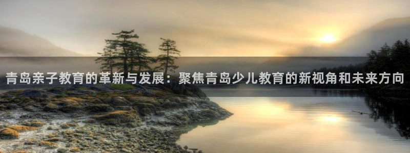 必一体育app下载装机吧