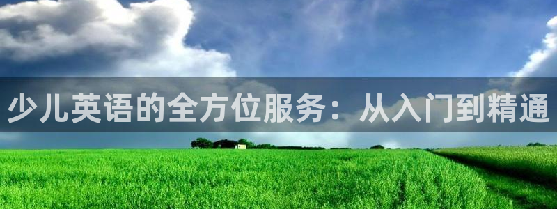 必一体育电子app