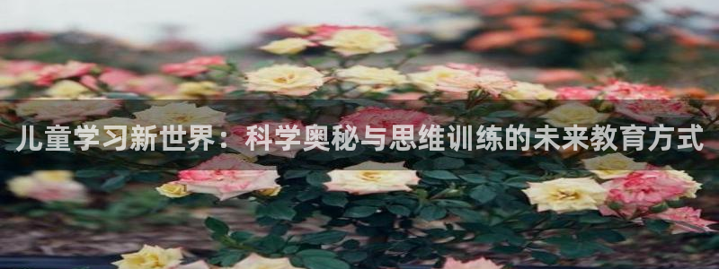 必一运动·(B-sports)