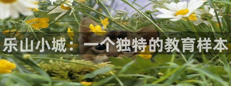 必一体育官网app