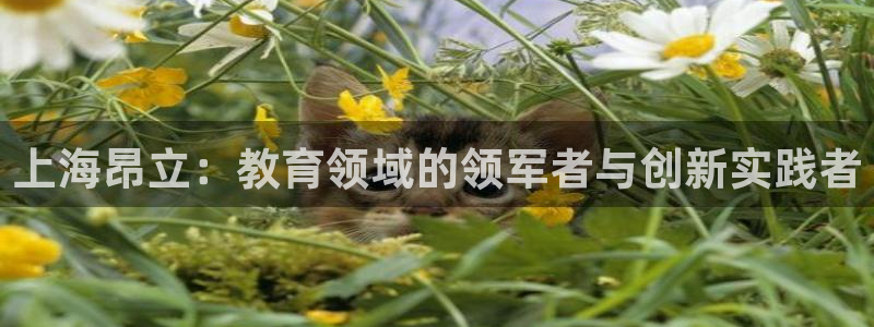 必一体育网址