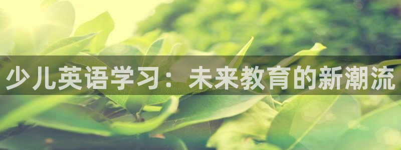 必一体育sport