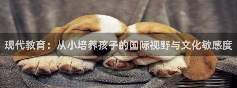 必一体育平台