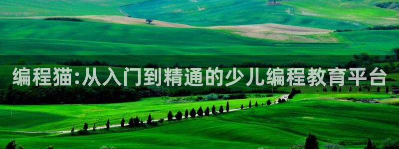 必一体育是哪里的台子