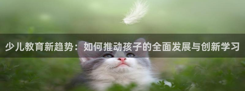 必一体育app下载装机吧