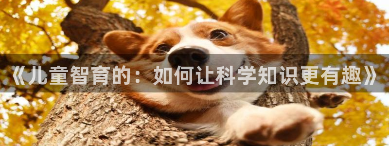 必一体育官网入口