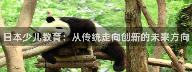 必一体育sport下载