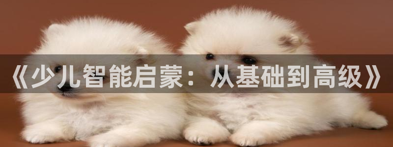 必一体育没了
