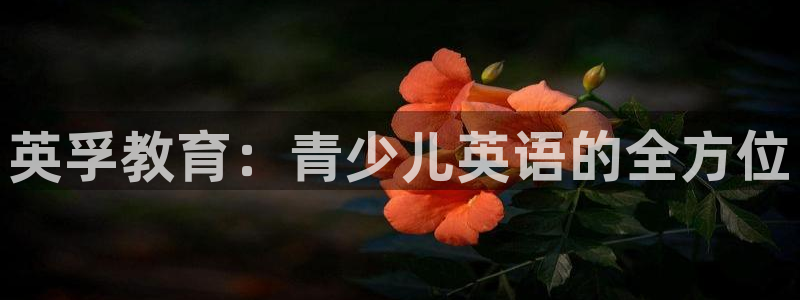 必一体育APP下载安装