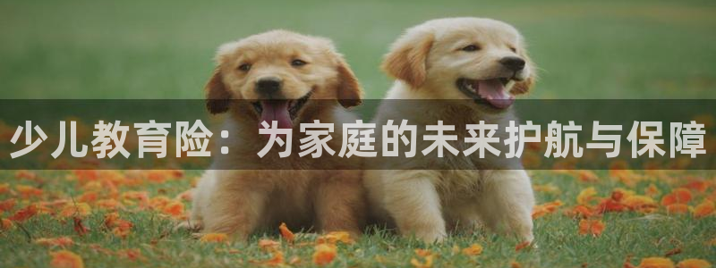 必一运动体育
