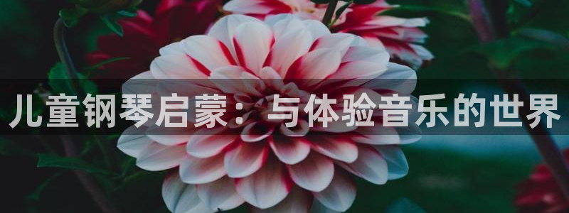必一体育登录入口APP