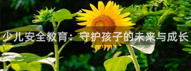 必一体育app下载最新版本