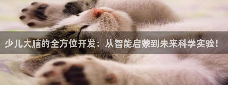 必一体育在线登录