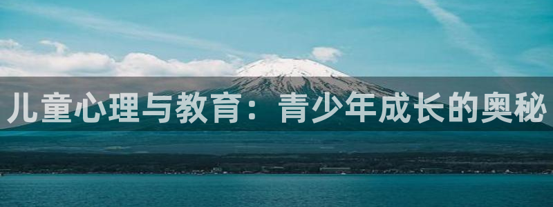 Bsport体育必一
