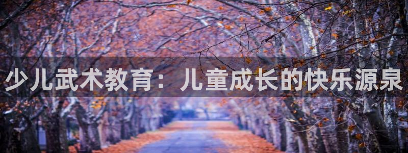 必一体育在线玩