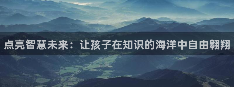 必一体育网页登录版官网