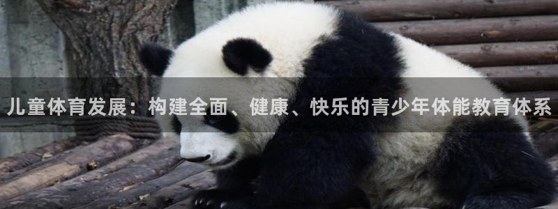 必一体育下载入口