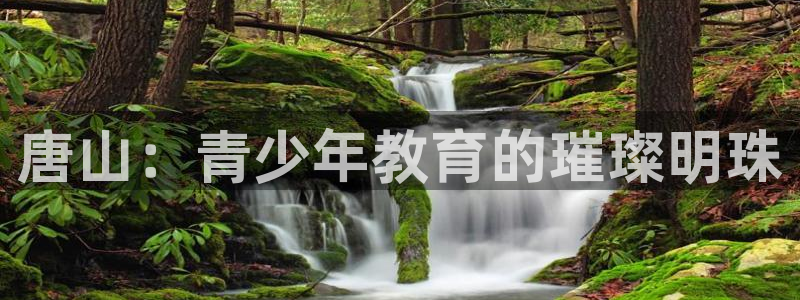 必一体育电子app