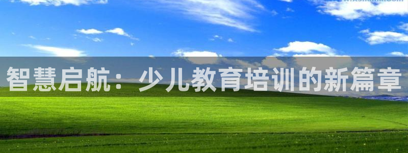 必一体育sport网页版