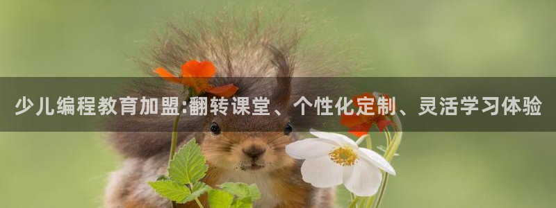 必一体育sport官网