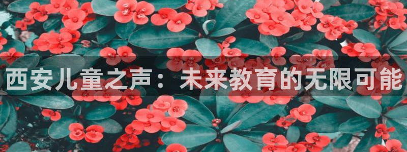 必一体育下载一样吗