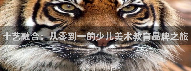 必一体育在线登录