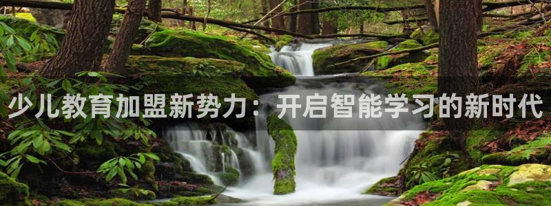 必一体育网页登录版官网