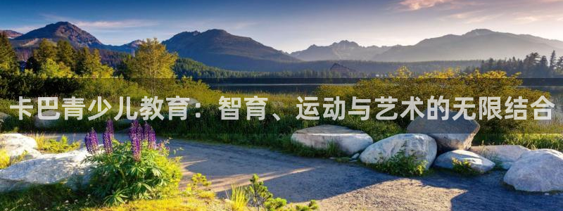 b体育必一运动网页版在线登录入口