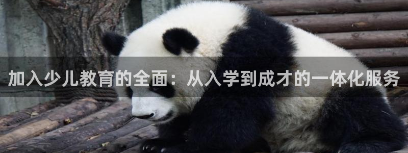 必一体育app下载最新版本