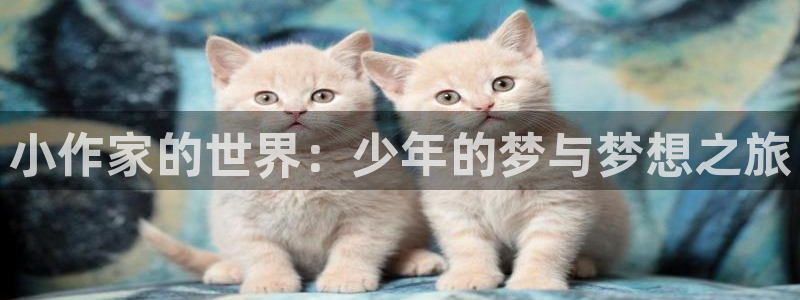 b体育官网下载入口app必一