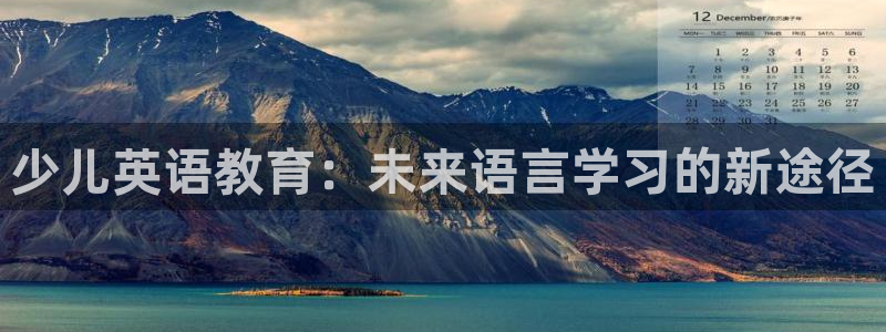 必一体育bsport下载