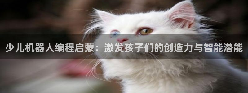 必一体育服下载最新版本更新内容