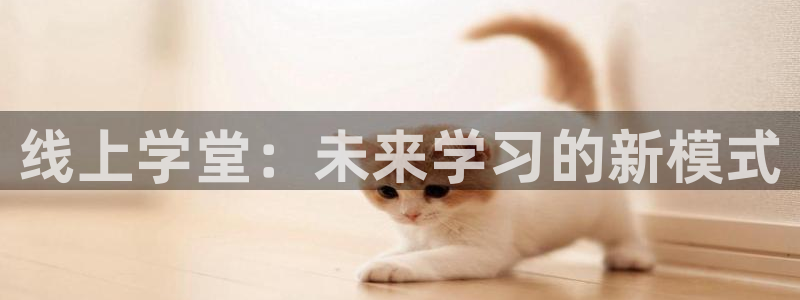 必一体育bsport下载