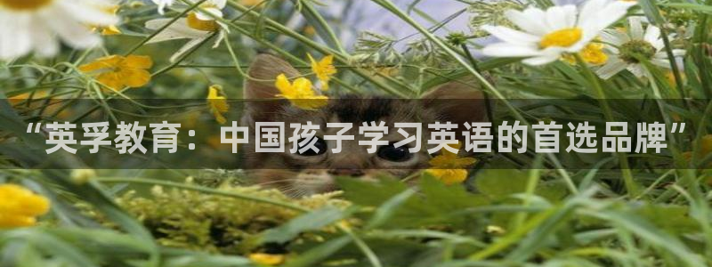 必一体育登录入口APP