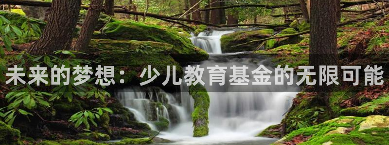 必一体育运动官网