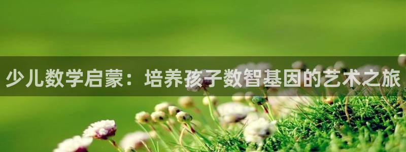 必一体育登录入口APP