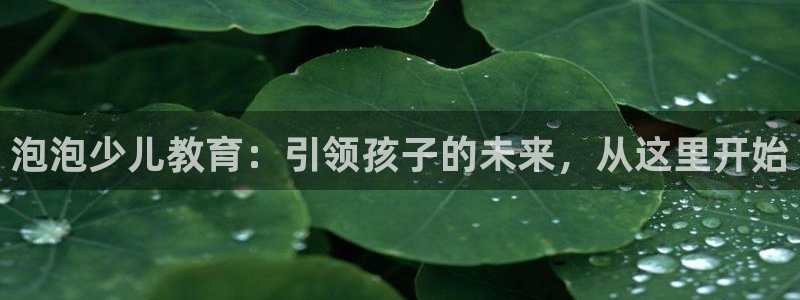 必一运动sport网页版