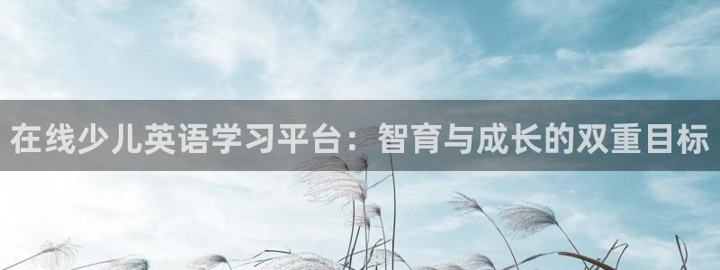 必一体育sport装机吧