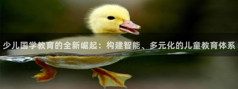 必一体育官方入口