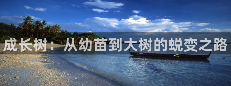 必一体育可靠吗