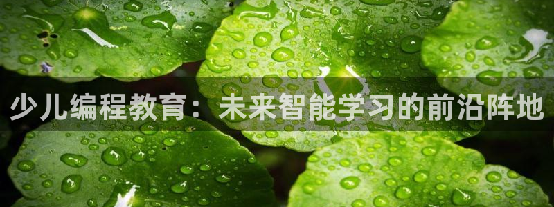 必一体育app下载最新版本苹果