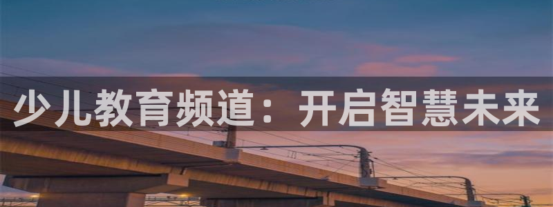 必一体育官网入口