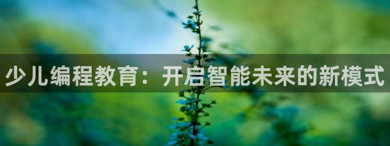 必一体育可靠吗