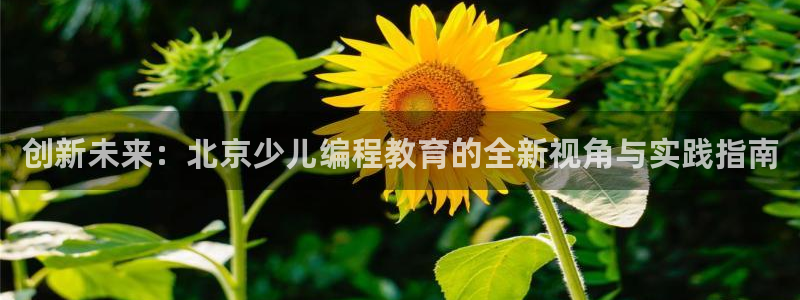 必一体育验证码